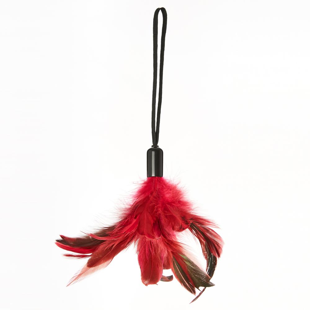 Sportsheets Pleasure Feather Rose | 646709261092 | Discreet Personal Wellness