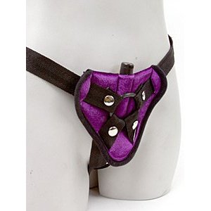 Harness & Mini Vibe (Purple) | 646709690021 | Discreet Personal Wellness