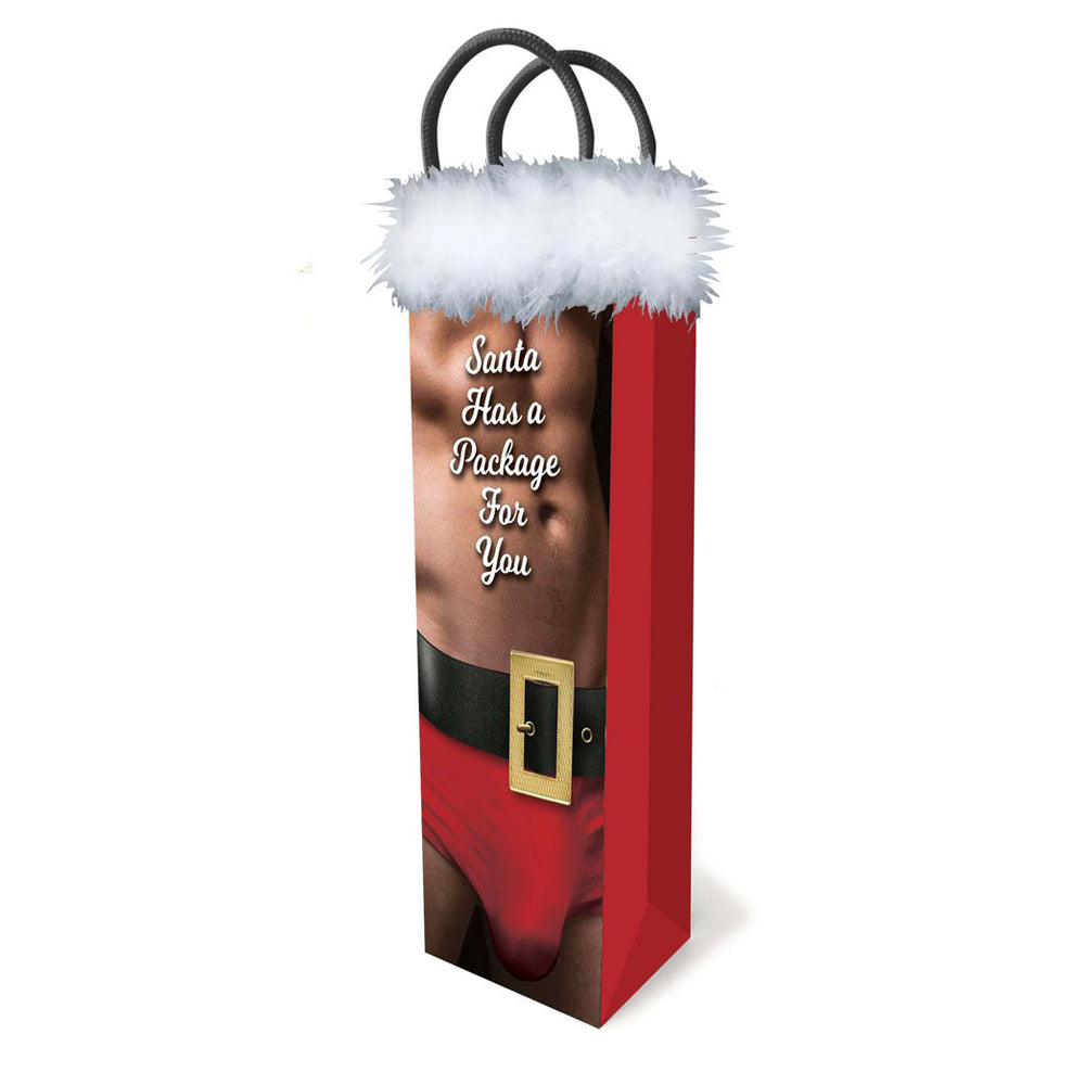 Santa Has A Big Package For You Gift Bag | 685634103404 | Discreet Personal Wellness