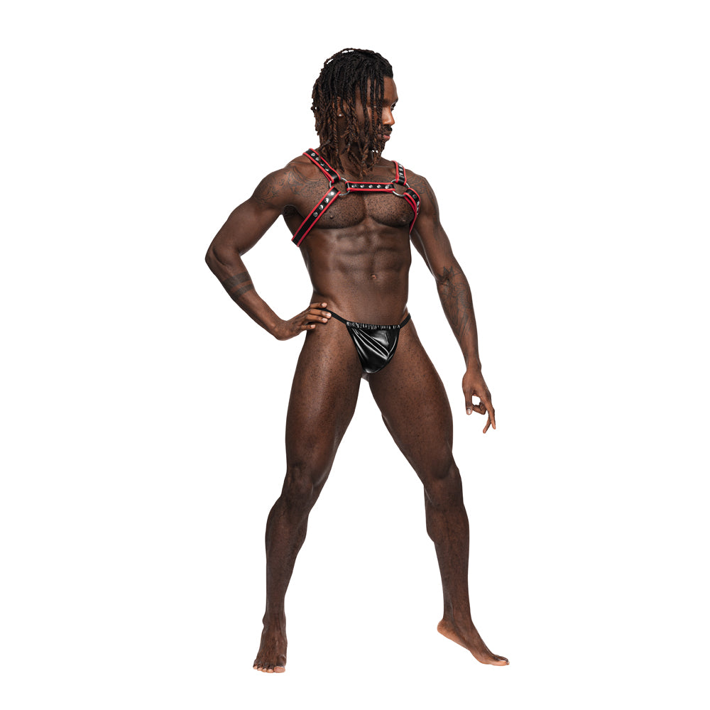 Leo Leather Harness | 845830087186 | Discreet Personal Wellness