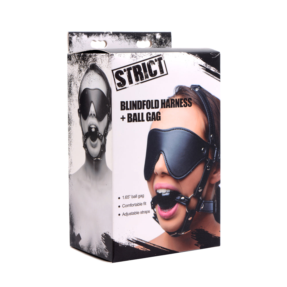 Strict Eye Mask Harness With Ball Gag | 848518024121 | Discreet Personal Wellness